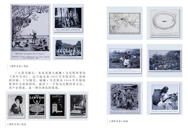 1935年版茶叶全书 内页插图