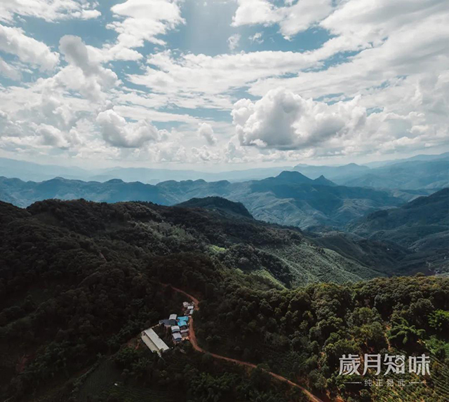 岁月知味易武古韵