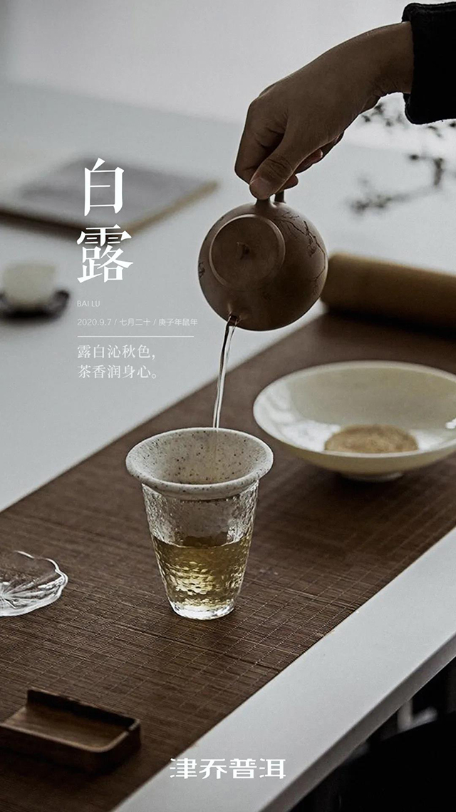 津乔普洱茶