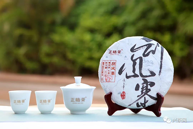 正皓茶刮风寨普洱茶