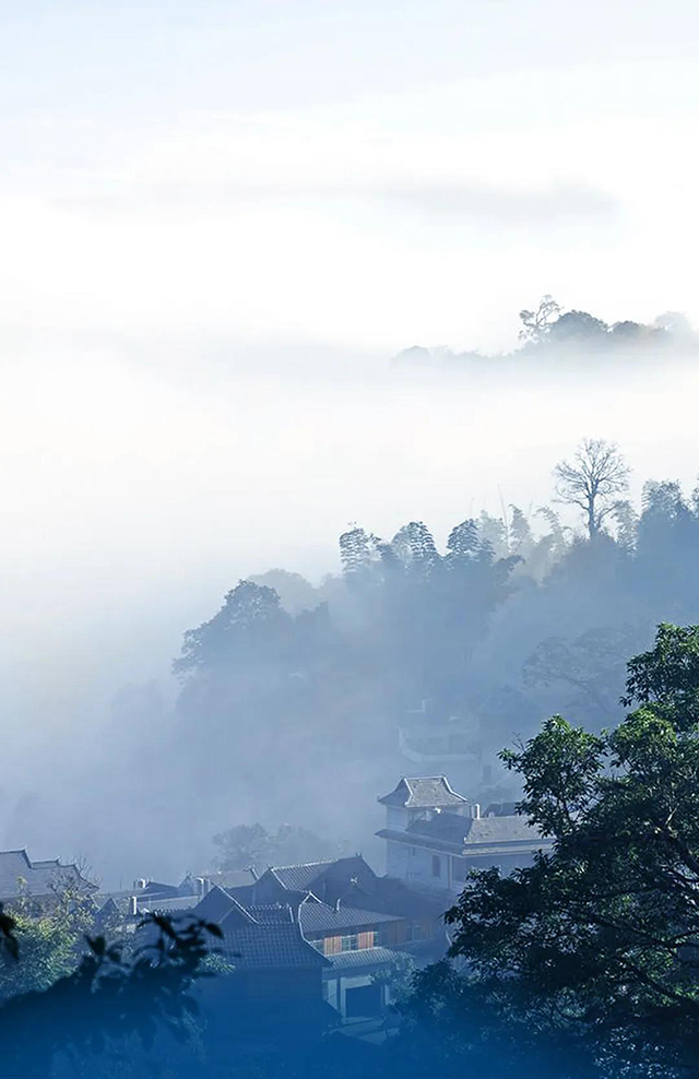 龙润茶云海景迈生茶熟茶