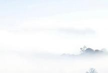 高山云雾出好茶，这可能是中国最美的天边云海