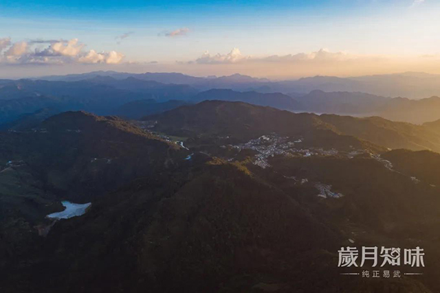 岁月知味四大基地普洱茶