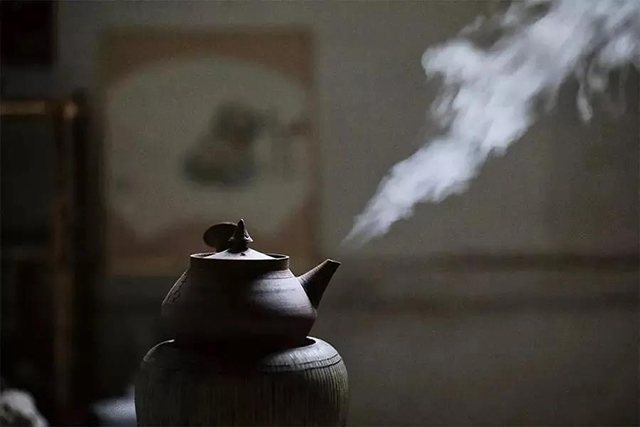 津乔普洱茶