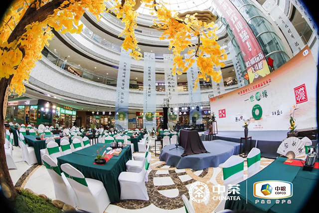 中茶翡翠八八青饼新品发布会