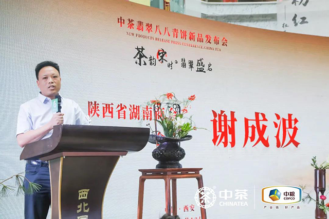 中茶翡翠八八青饼