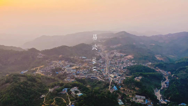 普洱杂志易武茶