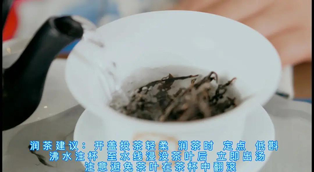 中茶普洱茶中茶水蓝印