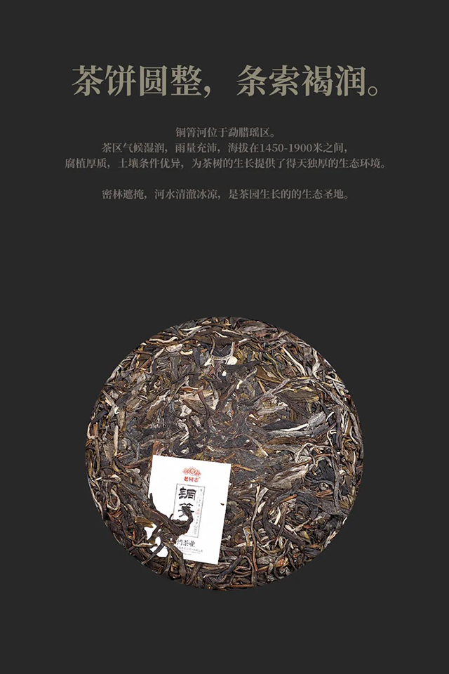 老同志铜箐河生茶