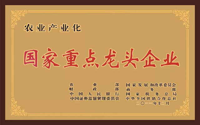 龙润普洱茶