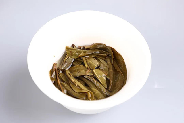 海湾茶业2020年老同志落水洞