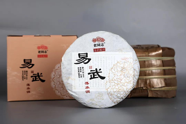 海湾茶业2020年老同志落水洞