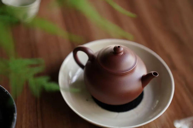 茶叶进化论