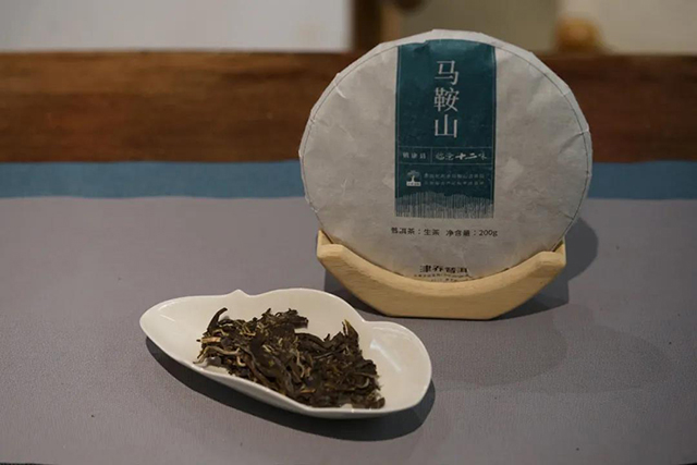 津乔普洱马鞍山普洱茶