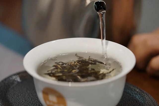 津乔普洱马鞍山普洱茶