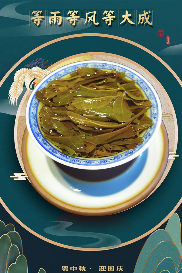 易武山高端普洱弯弓古树春茶