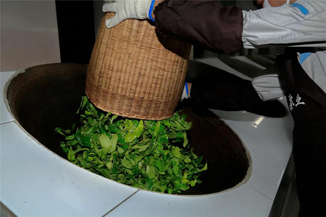 津乔少量珍藏2020纯料春茶