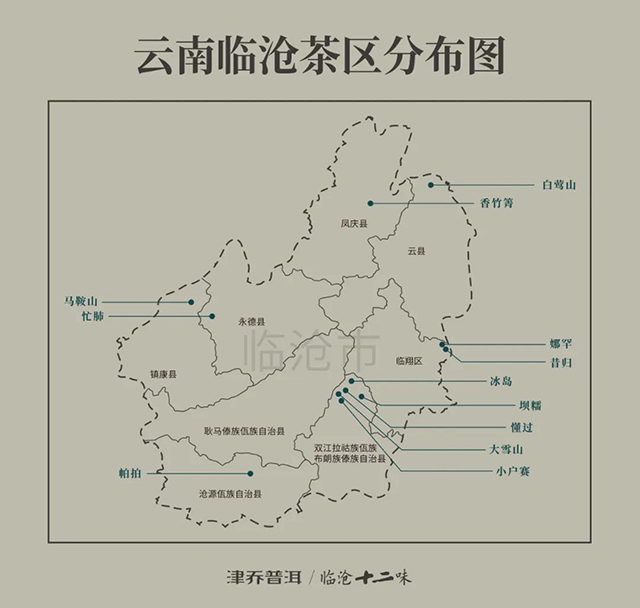津乔普洱茶2020津乔9款纯料春茶
