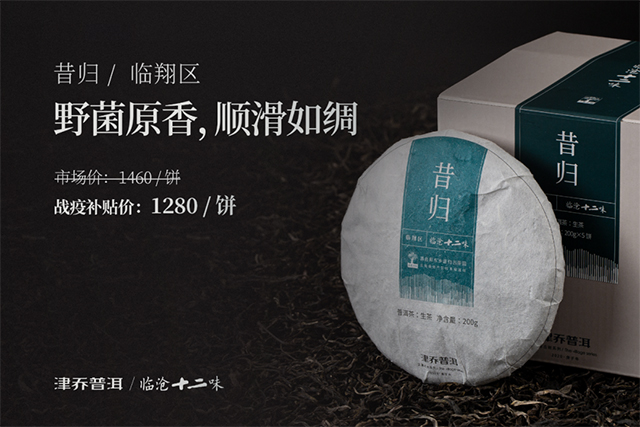 津乔普洱茶2020津乔9款纯料春茶