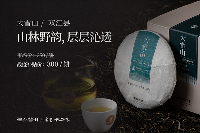 津乔普洱茶2020津乔9款纯料春茶