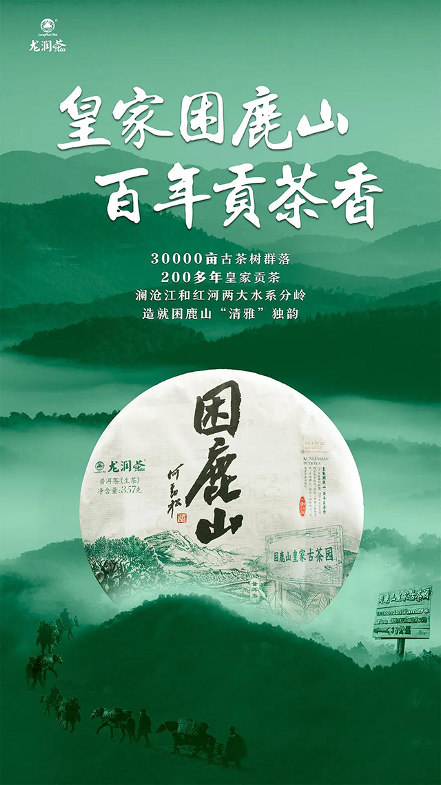 云南龙润茶业