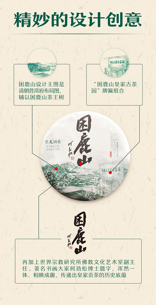 云南龙润茶业