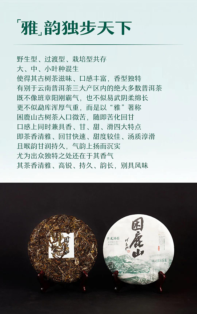 云南龙润茶业