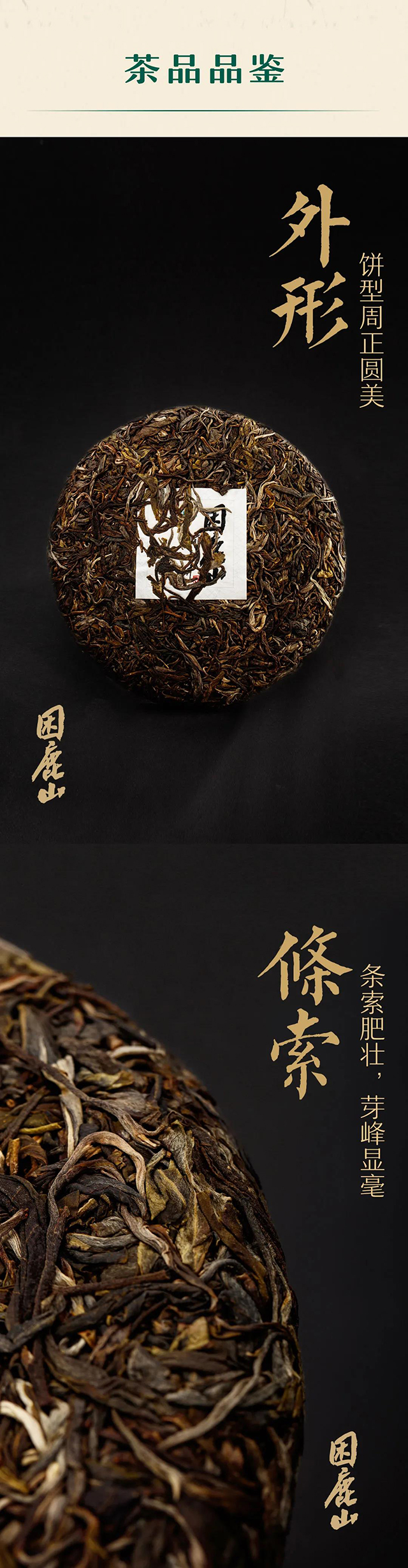 云南龙润茶业