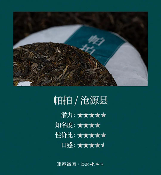 津乔普洱帕拍普洱茶