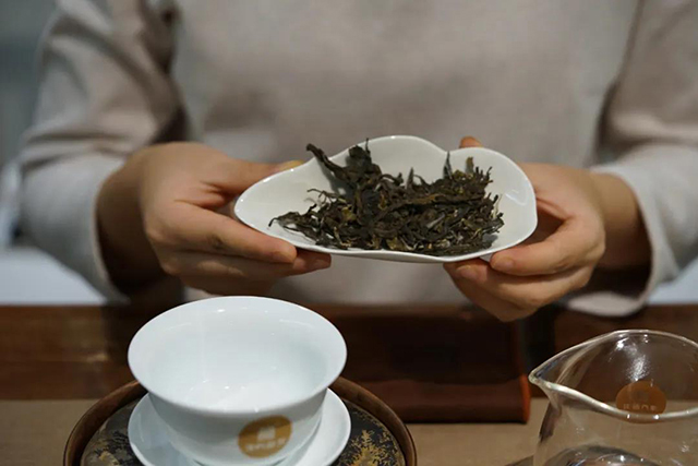 津乔普洱冰岛普洱茶