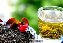 马哲峰：品味历史上普洱茶香气之美