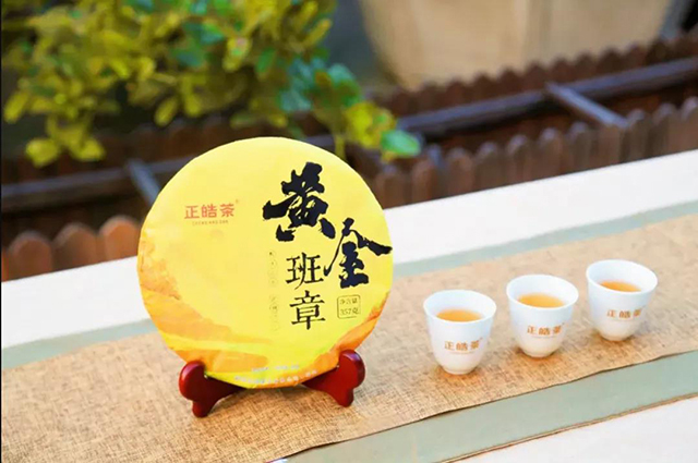 正皓茶班章品鉴会