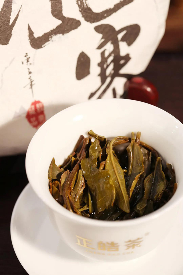 正皓茶班章品鉴会