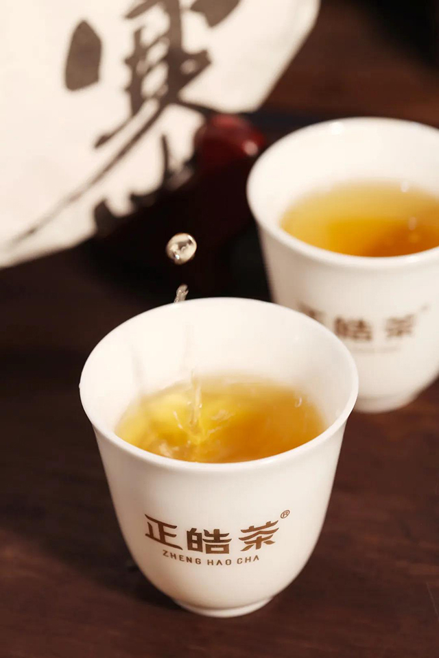 正皓茶班章品鉴会