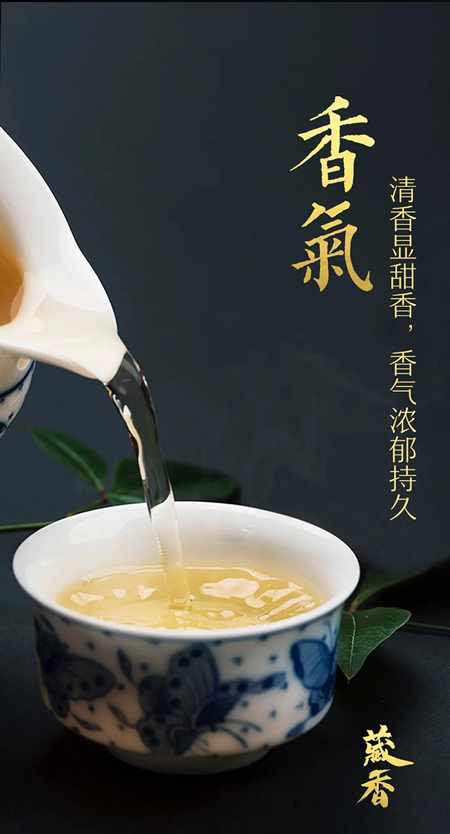 龙润茶藏香陈香普洱茶