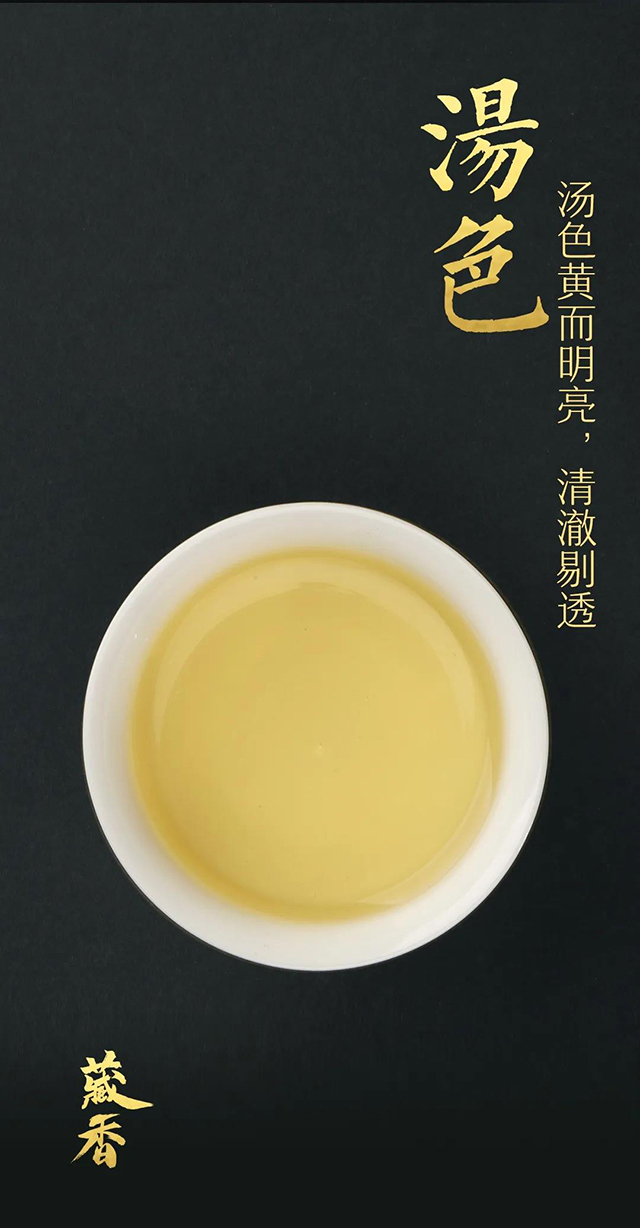 龙润茶藏香陈香普洱茶