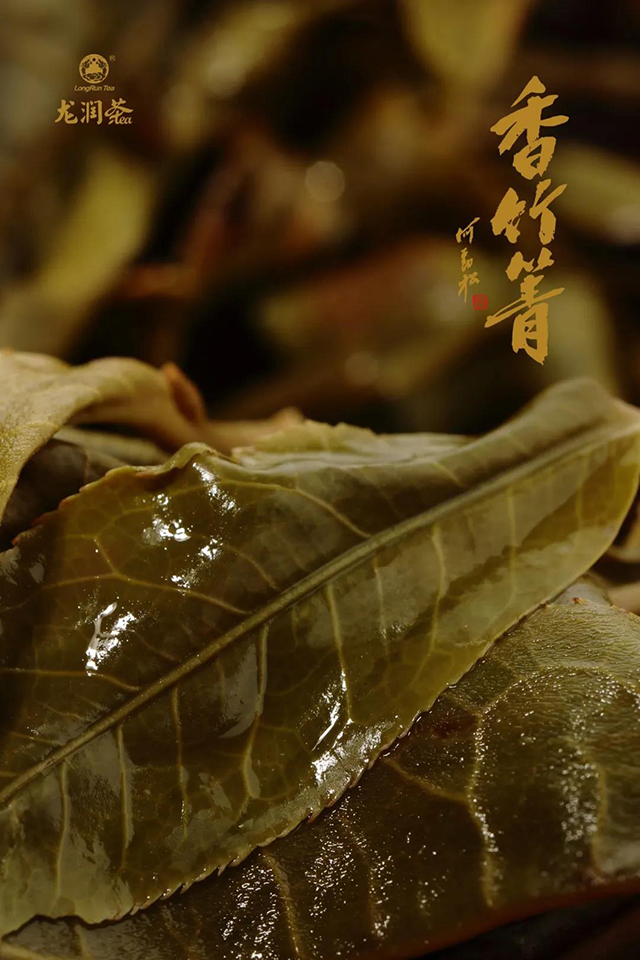 龙润茶香竹箐普洱茶