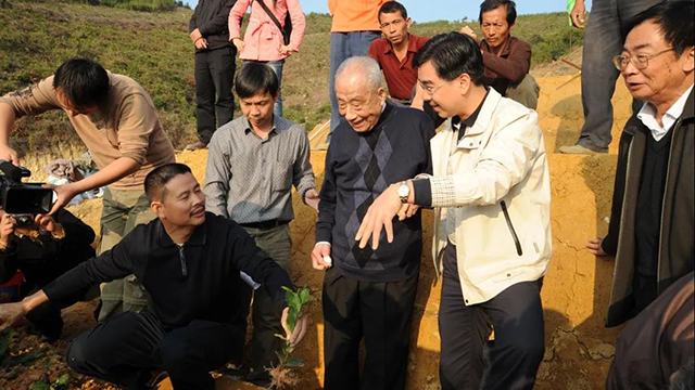 茶界泰斗张天福指导茶园改造