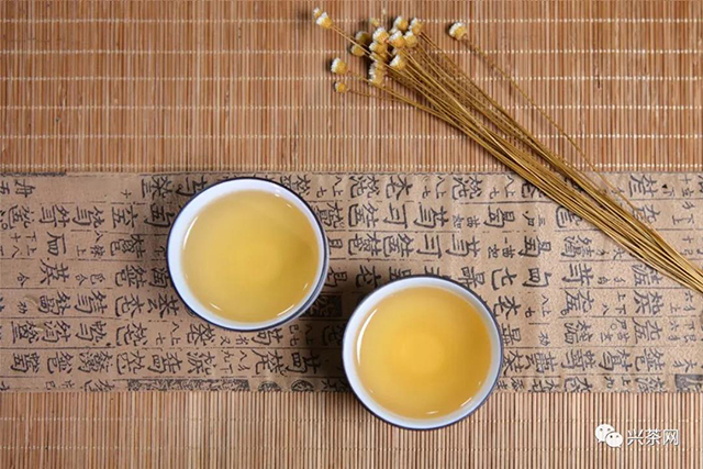 普洱茶茶汤