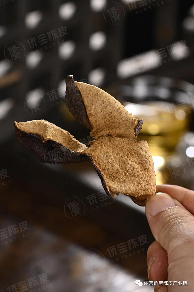 丽宫侨宝陈皮产业