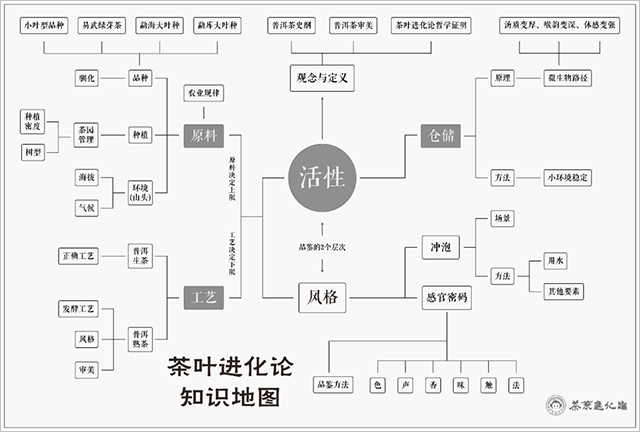 茶叶进化论知识地图