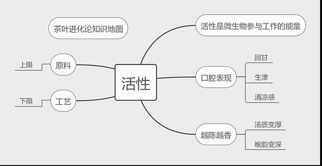 茶叶进化论知识地图