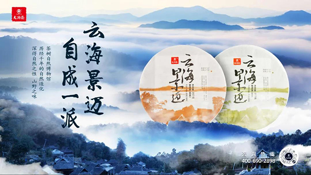 龙润茶景迈山普洱茶