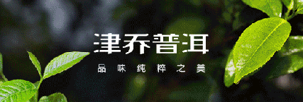 “一年茶，三年药”，云南白茶存放3年效果如何？「津品茶话」