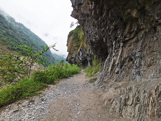 雾里村全国唯一现存仍在使用的茶马古道