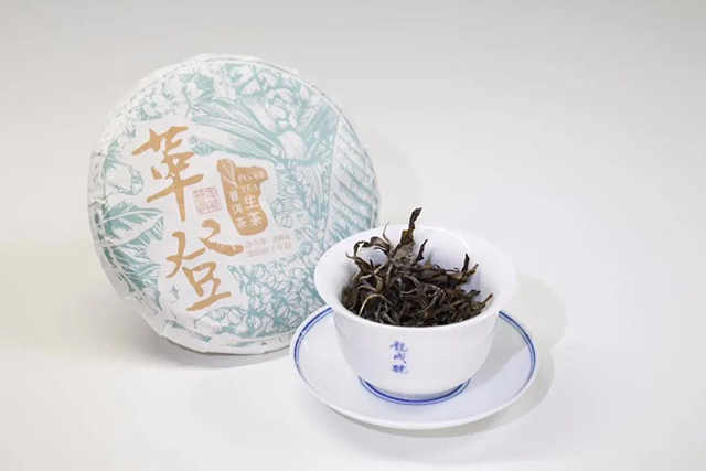 茶业复兴与龙成号联名款茶云茶供养革登古树春茶