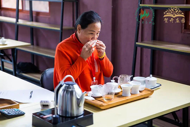 首届六大茶山拼配大赛