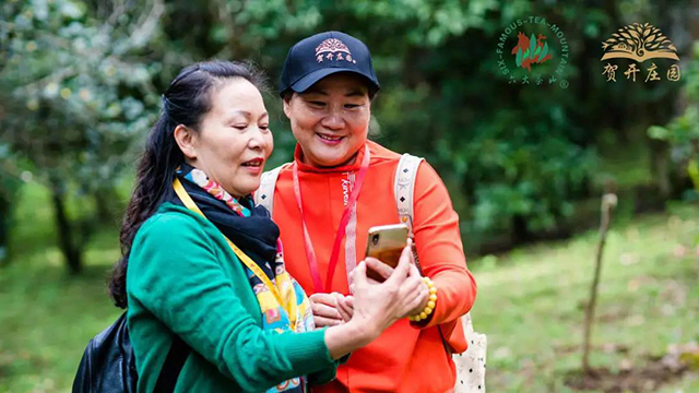 首届六大茶山拼配大赛