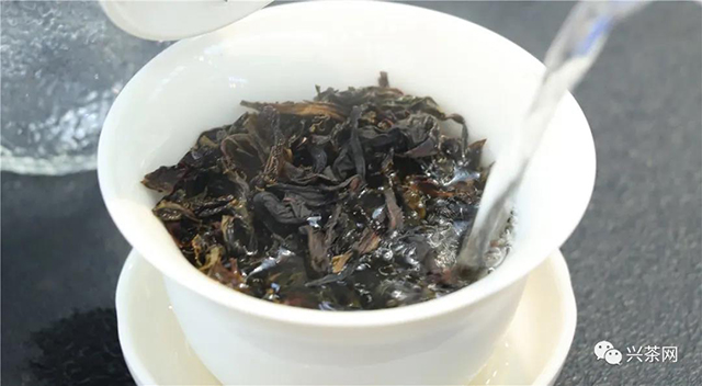 兴茶网