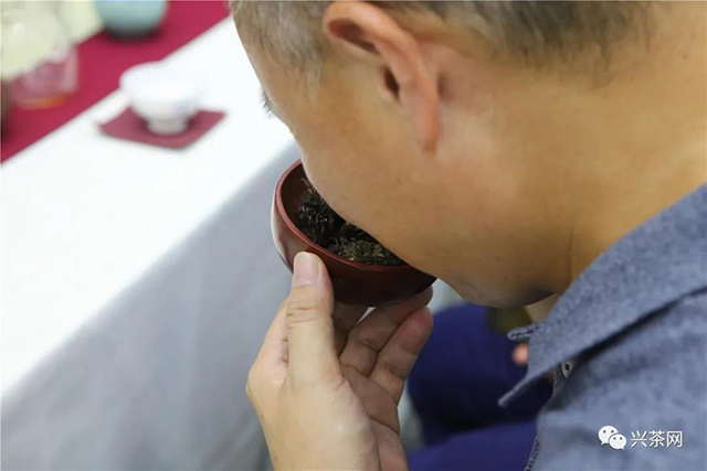 兴茶网